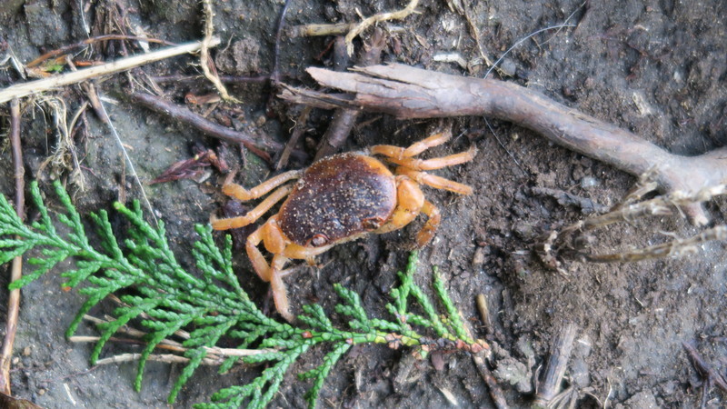 f:id:takemaru2018:20211004225734j:plain