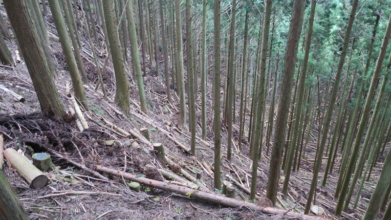 f:id:takemaru2018:20211004225808j:plain