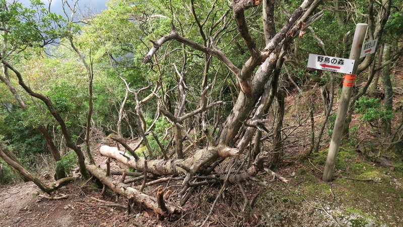 f:id:takemaru2018:20211004225948j:plain