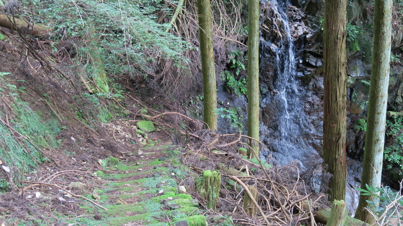 f:id:takemaru2018:20211004230018j:plain