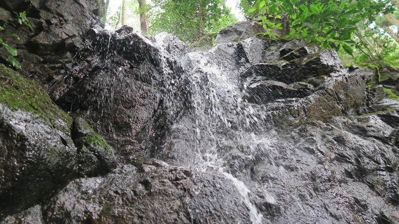 f:id:takemaru2018:20211004230036j:plain