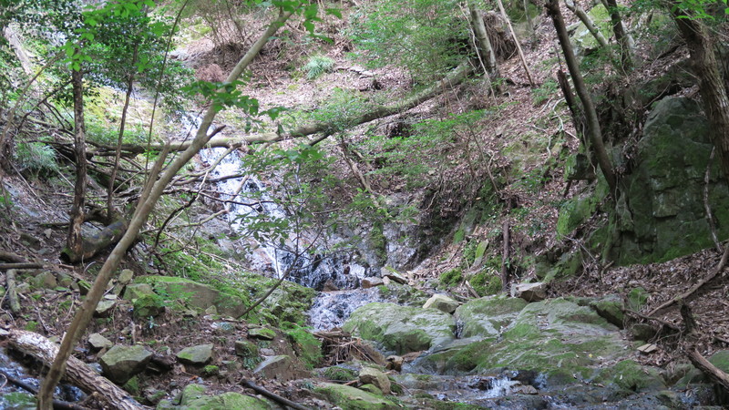 f:id:takemaru2018:20211004230048j:plain