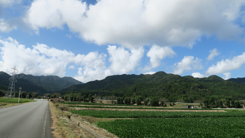 f:id:takemaru2018:20211004230216j:plain