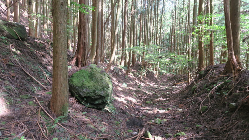 f:id:takemaru2018:20211005110934j:plain