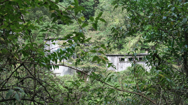 f:id:takemaru2018:20211005111005j:plain