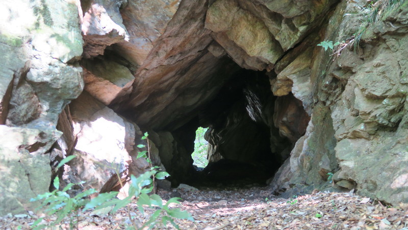 f:id:takemaru2018:20211005111159j:plain