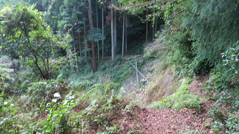 f:id:takemaru2018:20211005111219j:plain