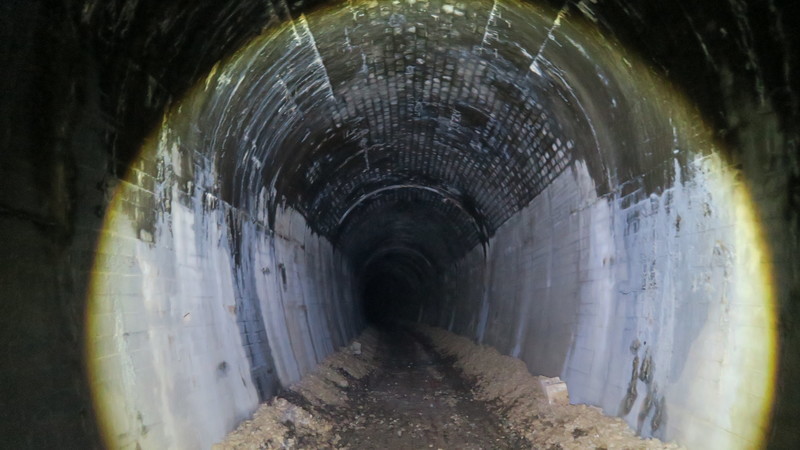 f:id:takemaru2018:20211005111407j:plain