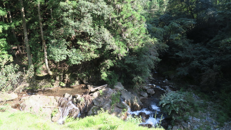 f:id:takemaru2018:20211005111558j:plain