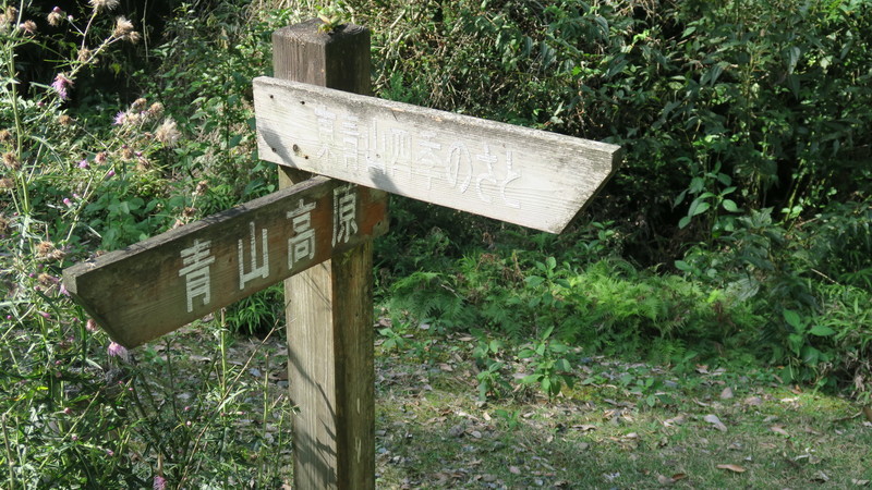 f:id:takemaru2018:20211005111609j:plain