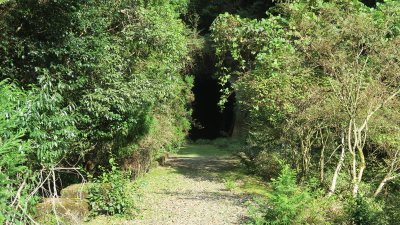 f:id:takemaru2018:20211005111625j:plain