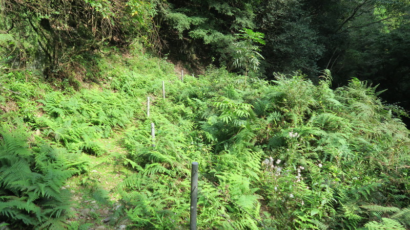 f:id:takemaru2018:20211005111654j:plain