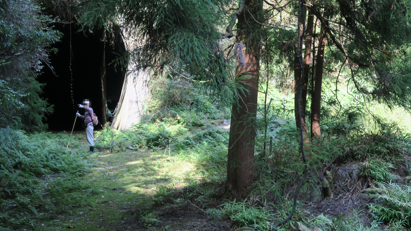 f:id:takemaru2018:20211005111706j:plain