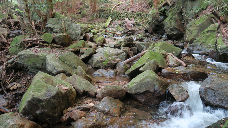 f:id:takemaru2018:20211005111735j:plain