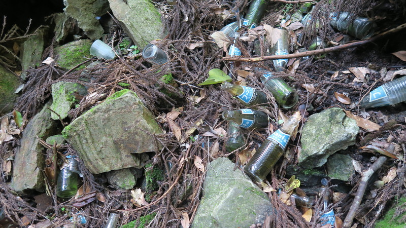 f:id:takemaru2018:20211005111747j:plain