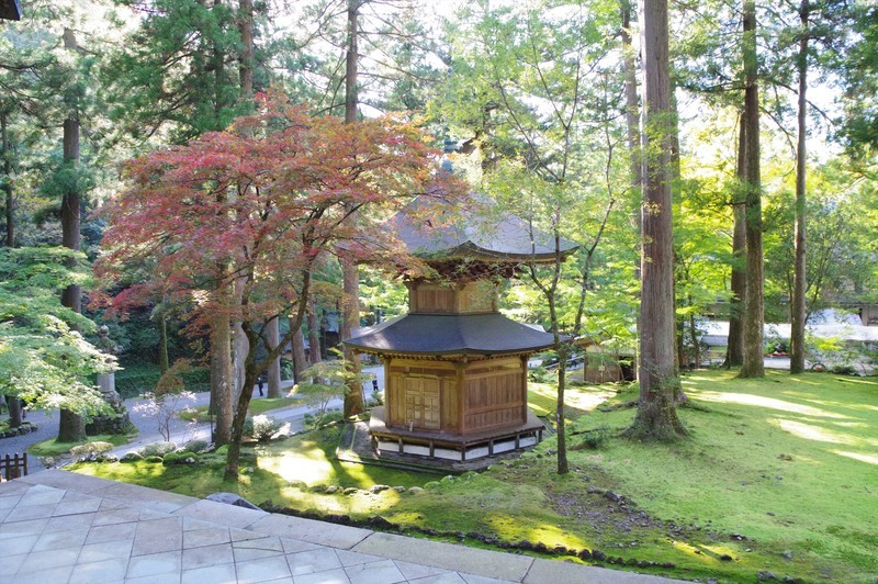 f:id:takemaru2018:20211030201545j:plain