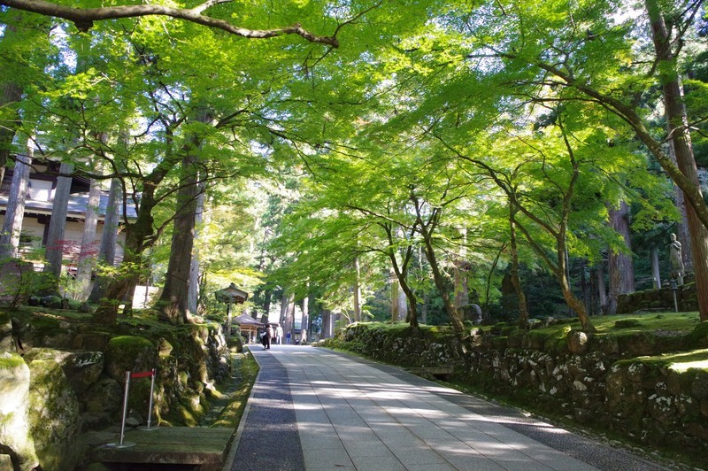 f:id:takemaru2018:20211030201630j:plain