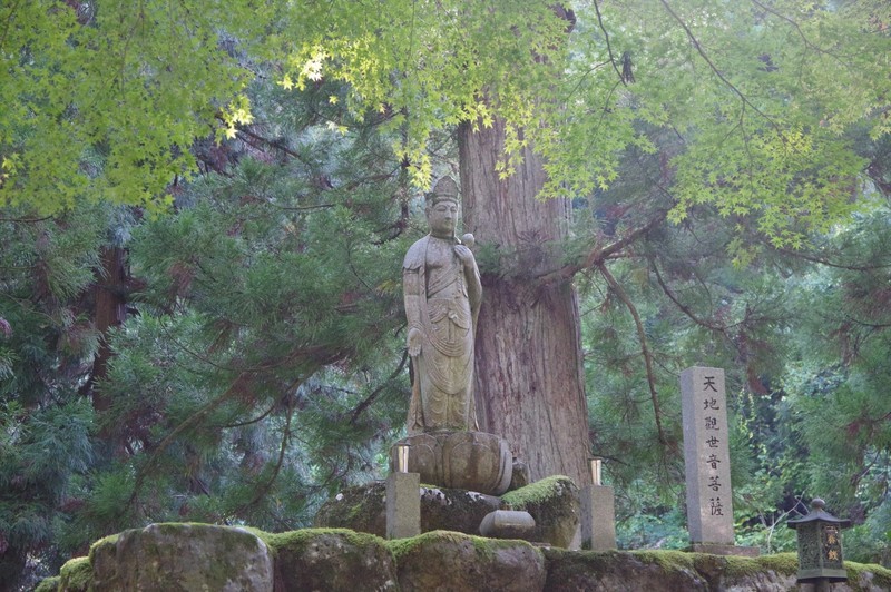 f:id:takemaru2018:20211030201642j:plain