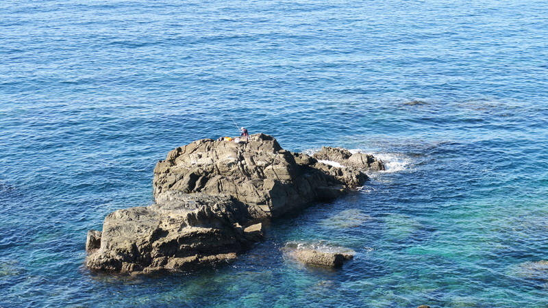 f:id:takemaru2018:20211122093248j:plain