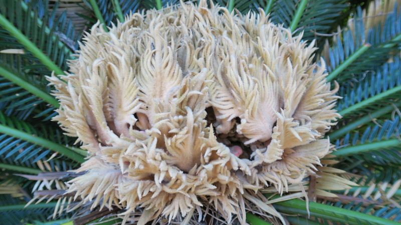 f:id:takemaru2018:20211122093301j:plain