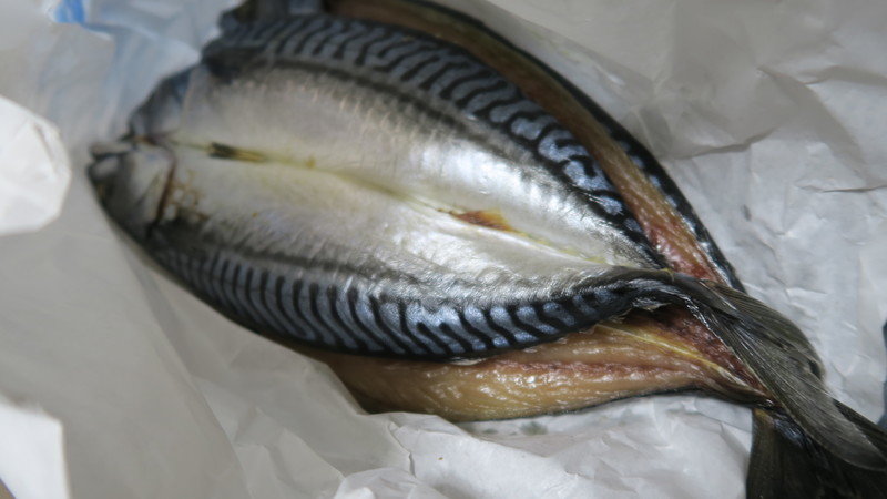 f:id:takemaru2018:20211211103330j:plain