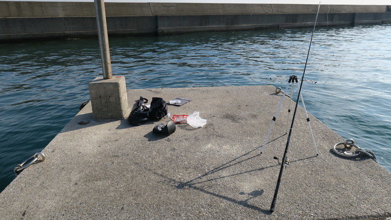 f:id:takemaru2018:20211211103414j:plain