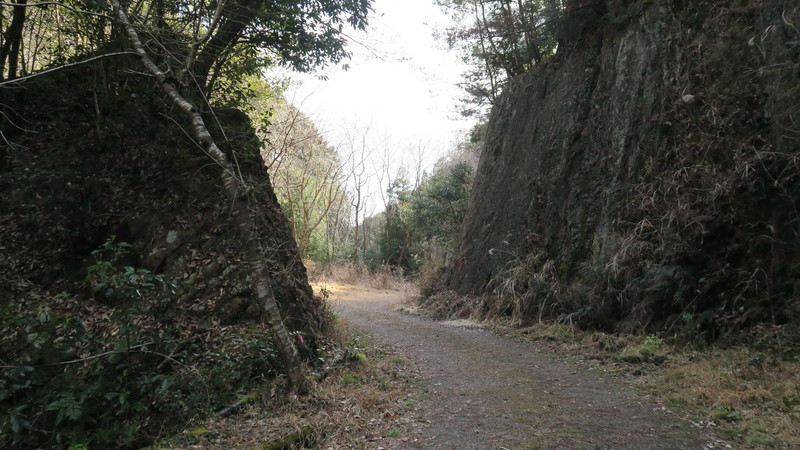 f:id:takemaru2018:20220212184923j:plain