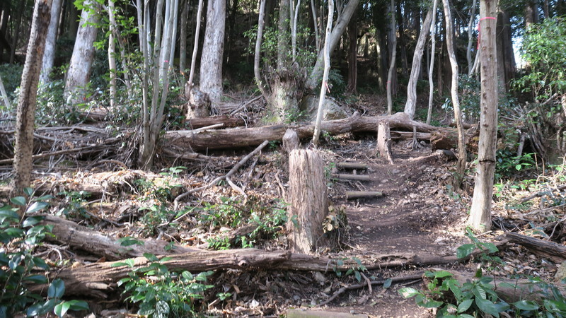 f:id:takemaru2018:20220212185517j:plain