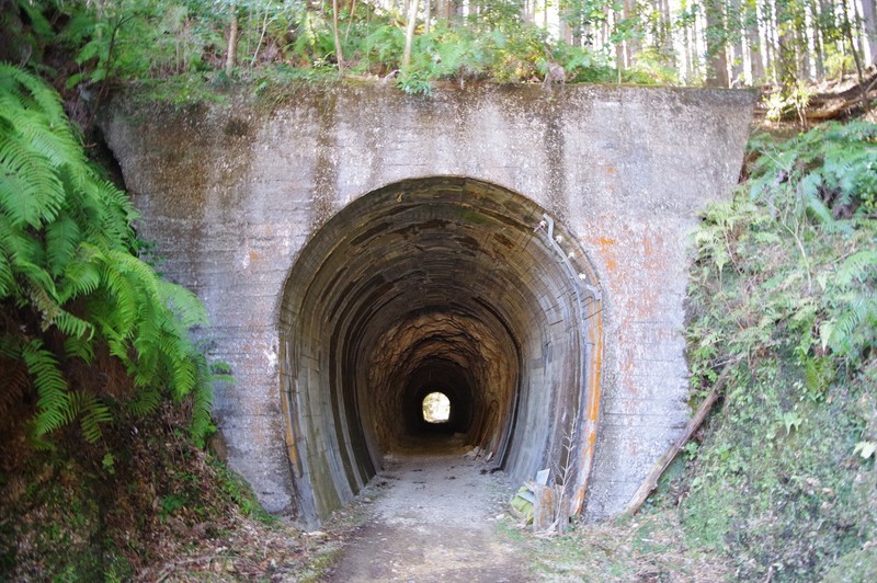 f:id:takemaru2018:20220226181608j:plain