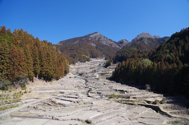 f:id:takemaru2018:20220226181629j:plain