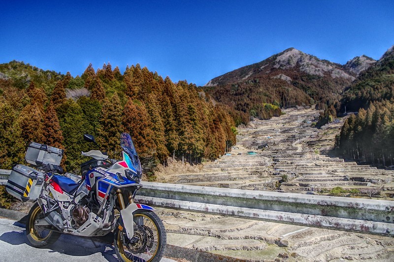 f:id:takemaru2018:20220226181634j:plain