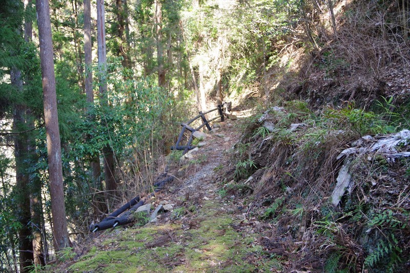 f:id:takemaru2018:20220226181650j:plain