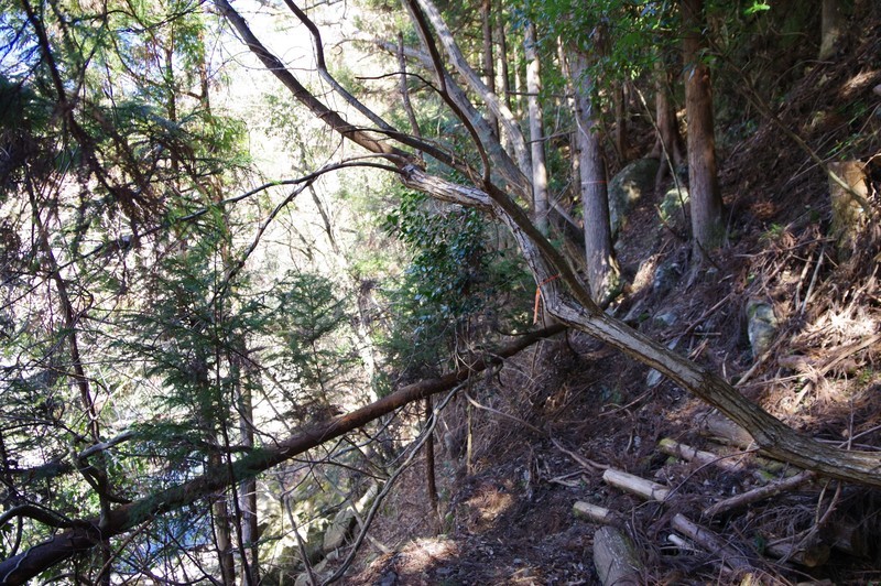 f:id:takemaru2018:20220226181703j:plain