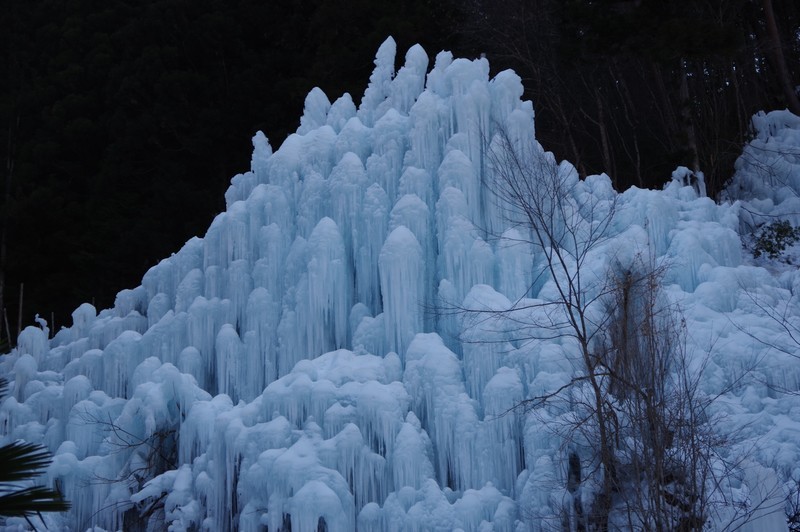 f:id:takemaru2018:20220226181754j:plain