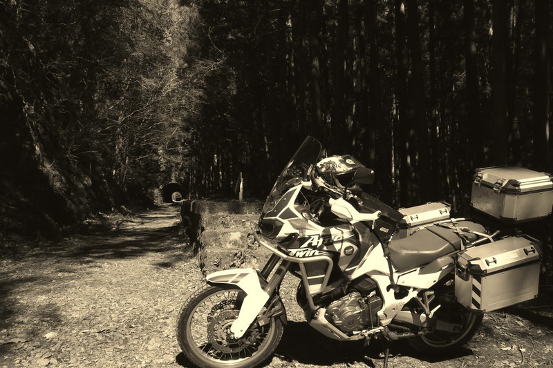 f:id:takemaru2018:20220226181850j:plain