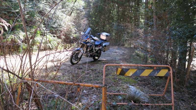 f:id:takemaru2018:20220226181935j:plain