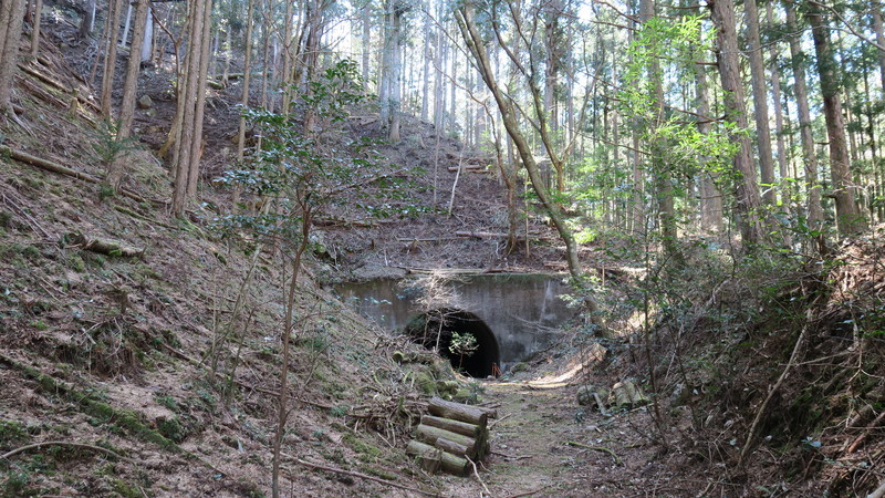 f:id:takemaru2018:20220226182012j:plain