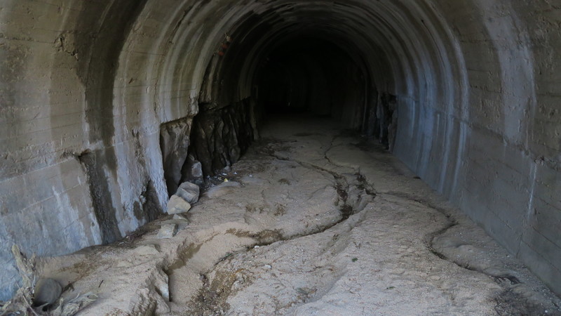 f:id:takemaru2018:20220226182022j:plain