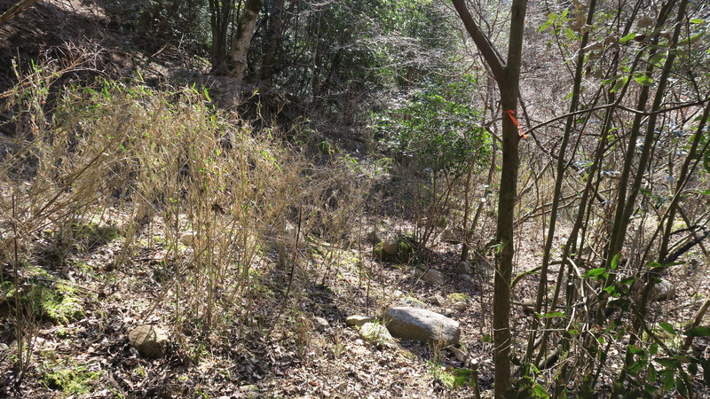 f:id:takemaru2018:20220226182047j:plain