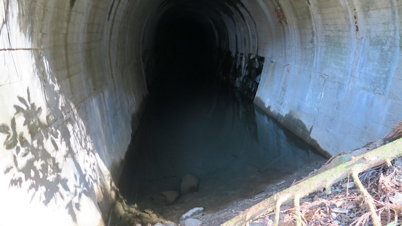 f:id:takemaru2018:20220226182138j:plain