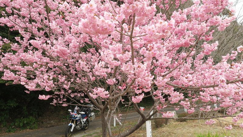 f:id:takemaru2018:20220307121333j:plain