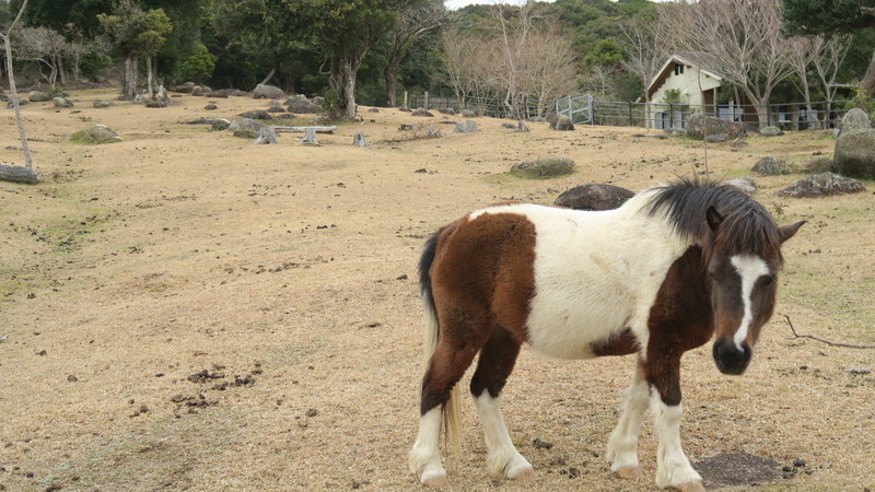 f:id:takemaru2018:20220307121510j:plain