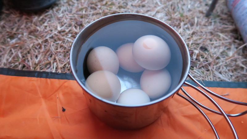 f:id:takemaru2018:20220307121631j:plain