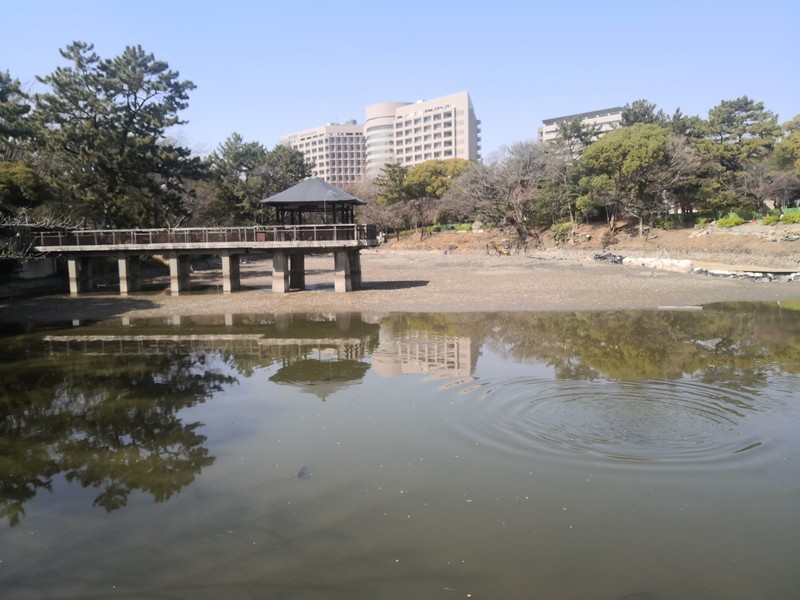 f:id:takemaru2018:20220316155443j:plain