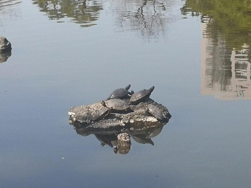 f:id:takemaru2018:20220316155500j:plain