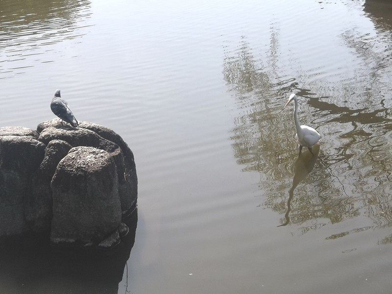 f:id:takemaru2018:20220316155509j:plain