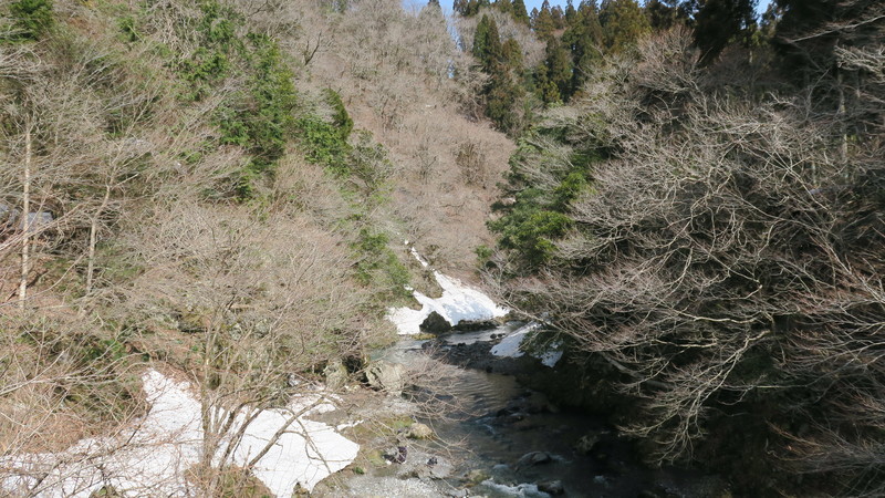 f:id:takemaru2018:20220325181315j:plain