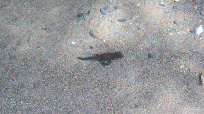 f:id:takemaru2018:20220325181454j:plain