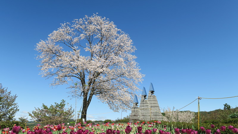 f:id:takemaru2018:20220416151726j:plain