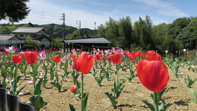 f:id:takemaru2018:20220416151738j:plain